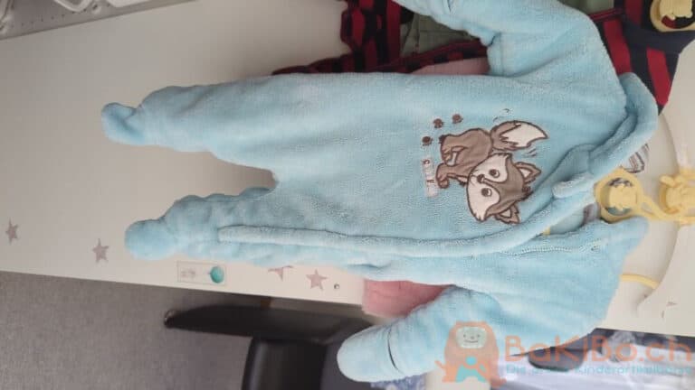 679076 rotated 2 768x432