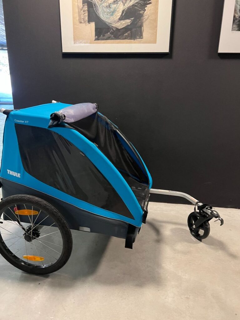 fahrradanhanger thule chariot 2 kinder 2 768x1023