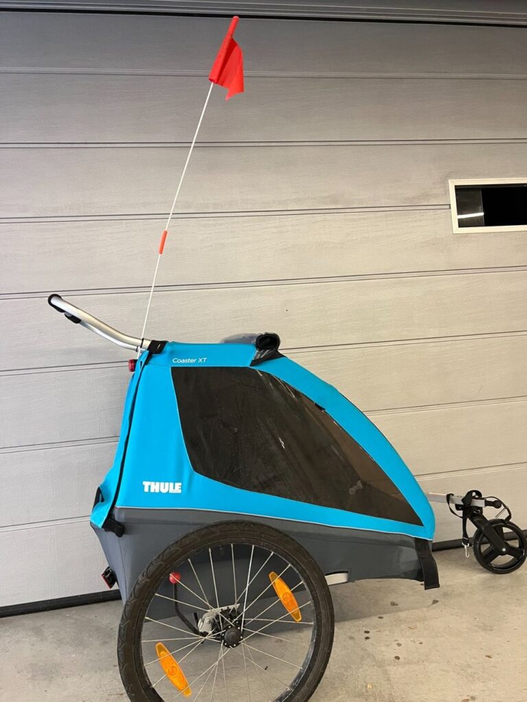 fahrradanhanger thule chariot 2 kinder 768x1023