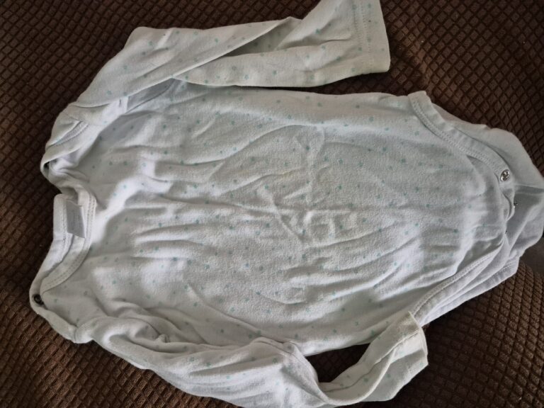 20250821 090251 768x576