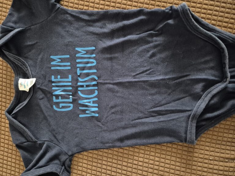 20250821 095103 1 768x576