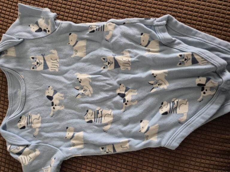 20250821 095129 768x576