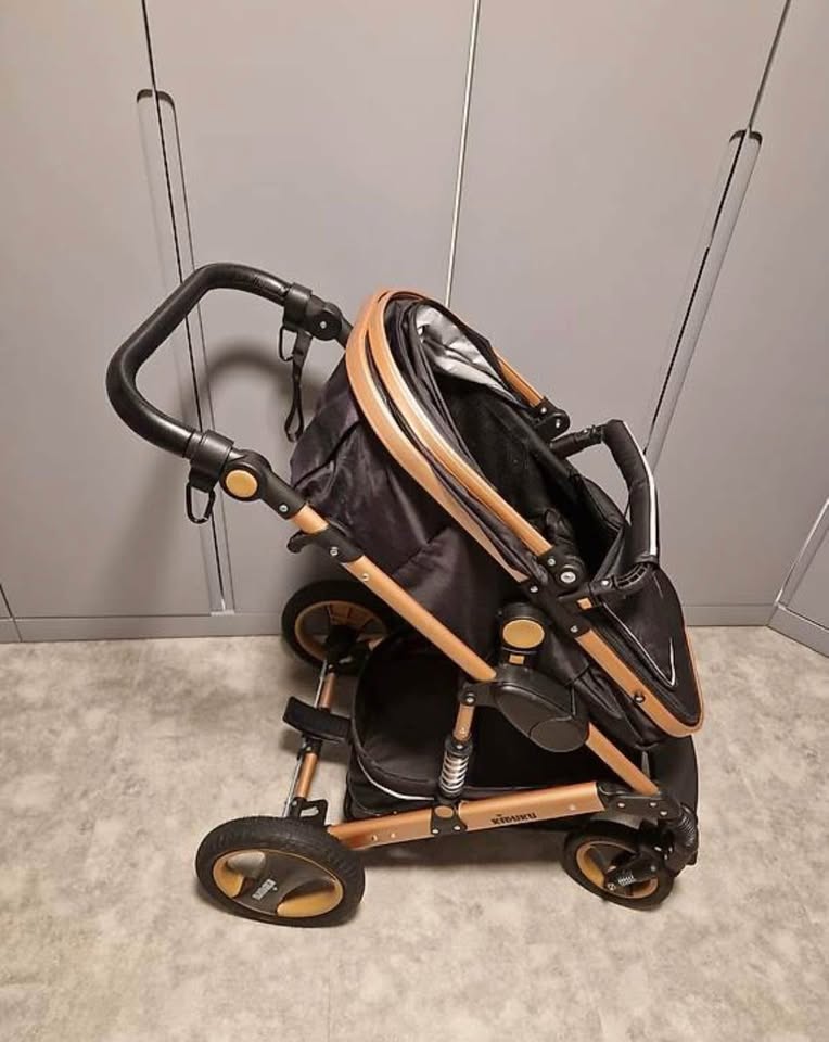 567758245 1492933278642187 3065639400443304843 n