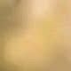 Autor-Bild