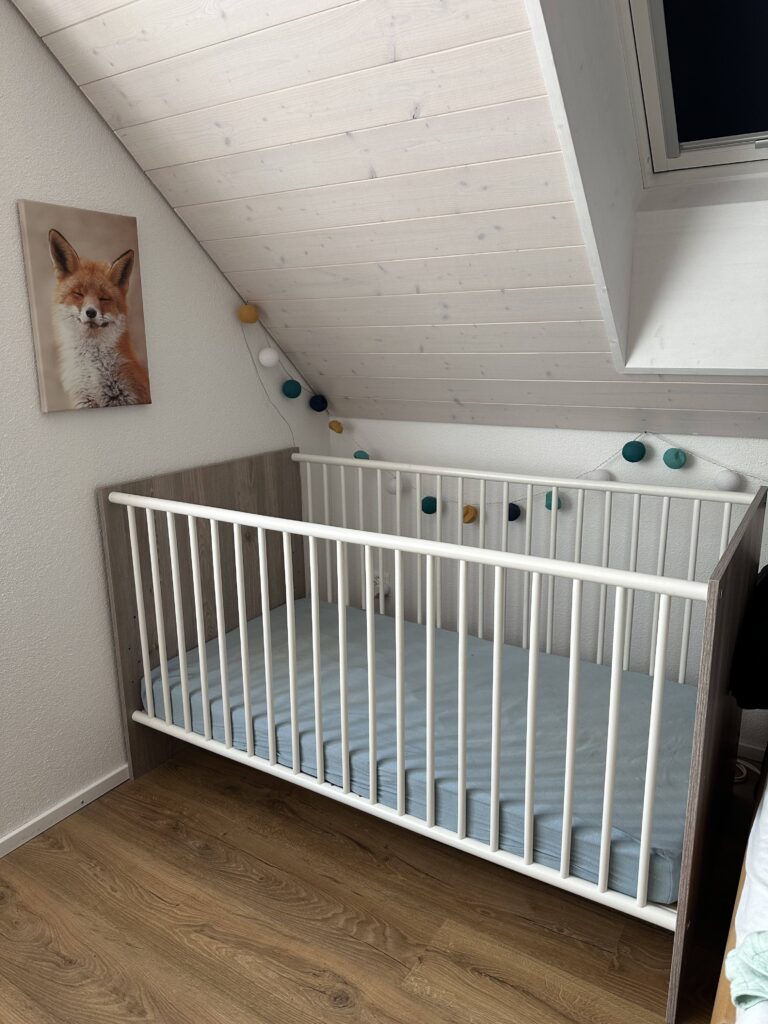 IMG 0047 768x1024