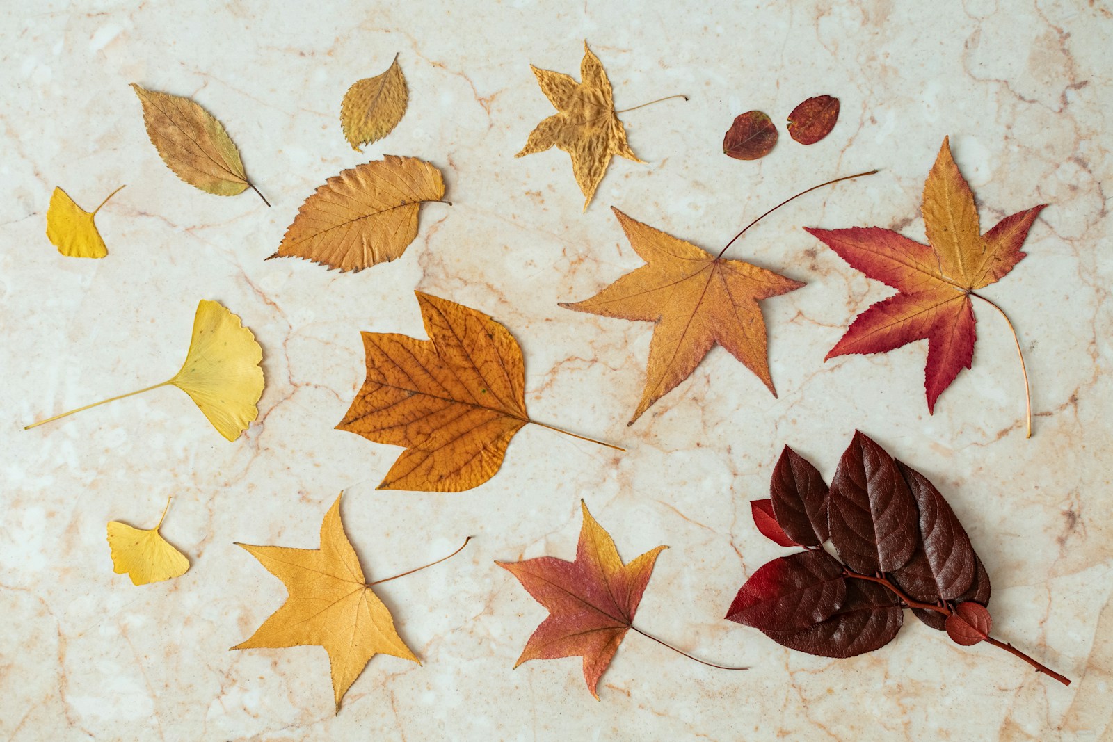 Basteln mit Herbstblättern: 3 einfache Ideen für Kinder